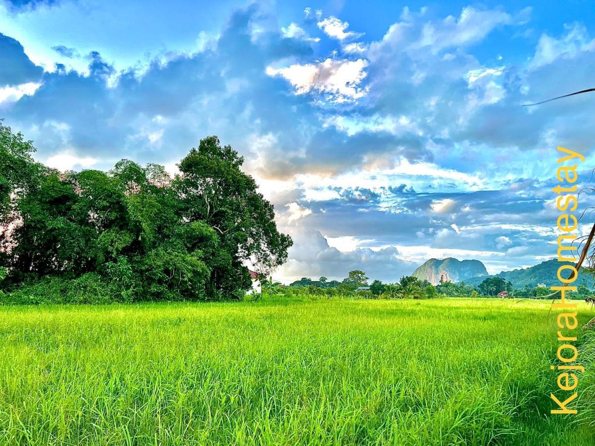 Kejora Homestay Kangar Exteriér fotografie